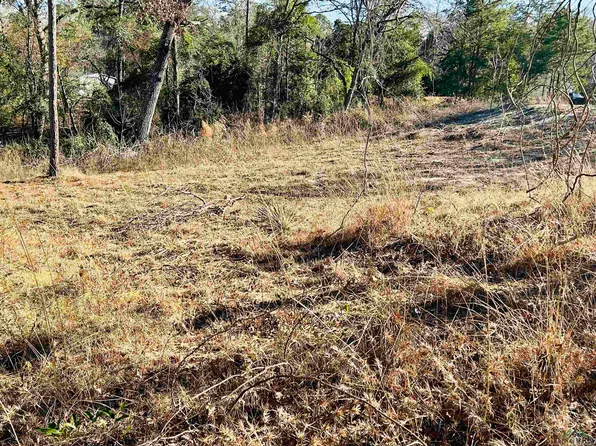 Raintree Cir, Big Sandy, TX 75755