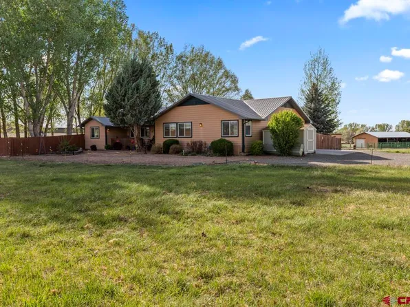 61393 Niagara Road, Montrose, CO 81403