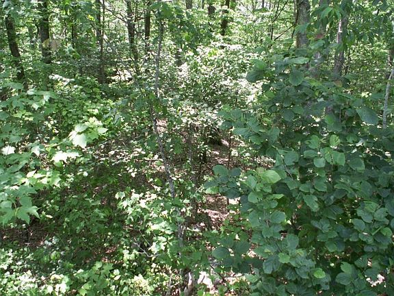 2nd image of Tbd Callalantee Dr