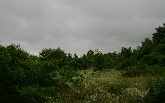 3rd image of State Hwy. 20 E