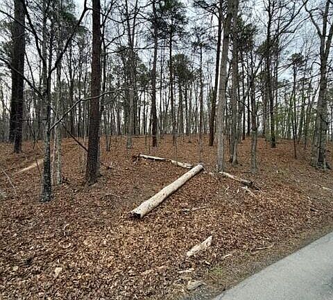 2nd image of 0 Timberview Rd #2A