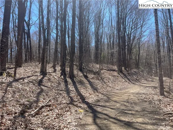 Lot 153 Canterwood Road, Beech Mountain, NC 28604
