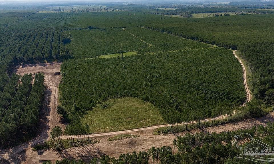 1st image of LOT 90 Posie Forest Rd