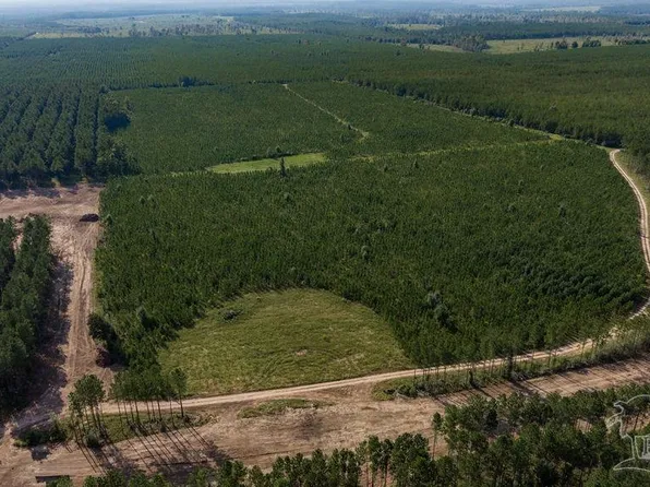 LOT 90 Posie Forest Rd, Milton, FL 32570