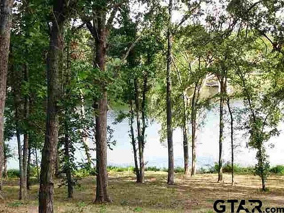 2nd image of 0 County Road 4847 Lot 1-2