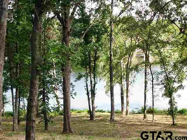 1st image of 0 County Road 4847 Lot 3
