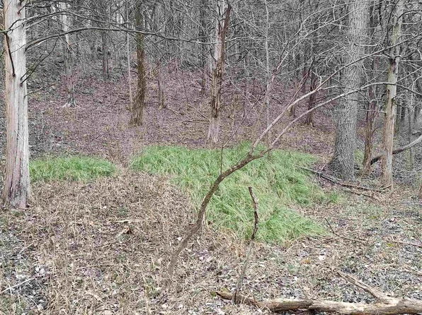 000 NE 1270 Pvt, Osceola, MO 64776