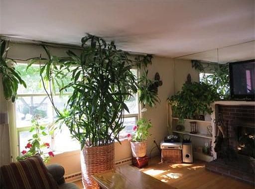 5th image of 15 Kittredge St