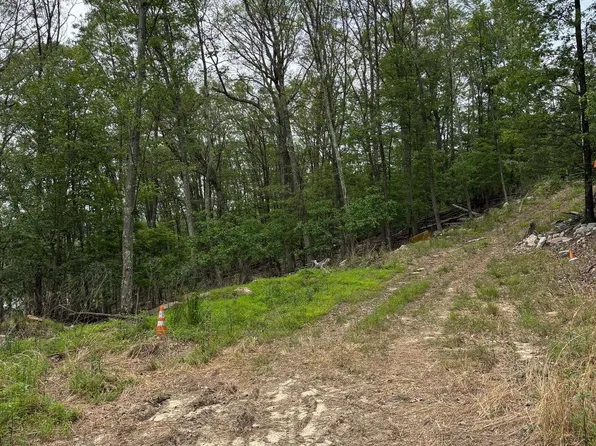 17 Roberts Ln, Great Cacapon, WV 25422