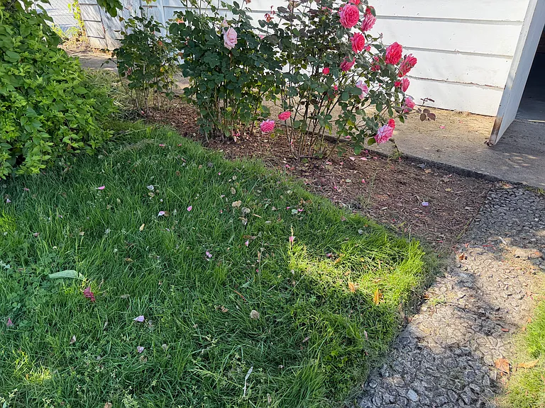 4385 SW 202nd Ave — Photo 42