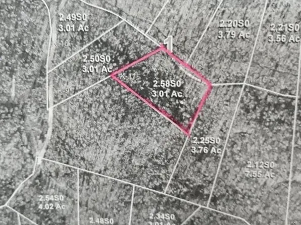 11 Hidden Valley Lks, Annapolis, MO 63620