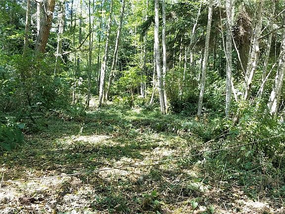 2nd image of 2405 Huckleberry Ln