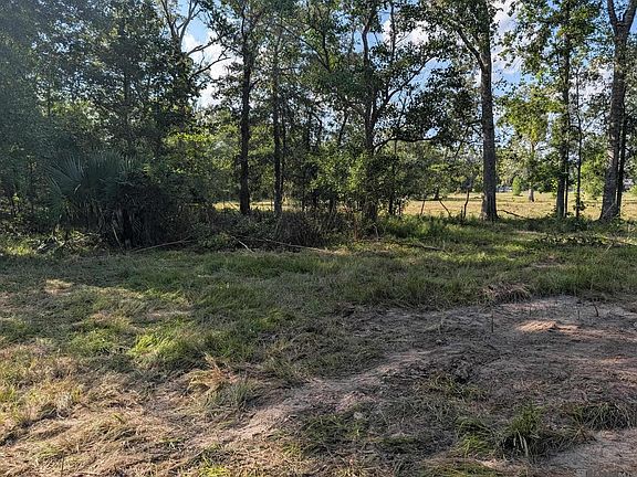 4th image of 16703 Wildflower Ln