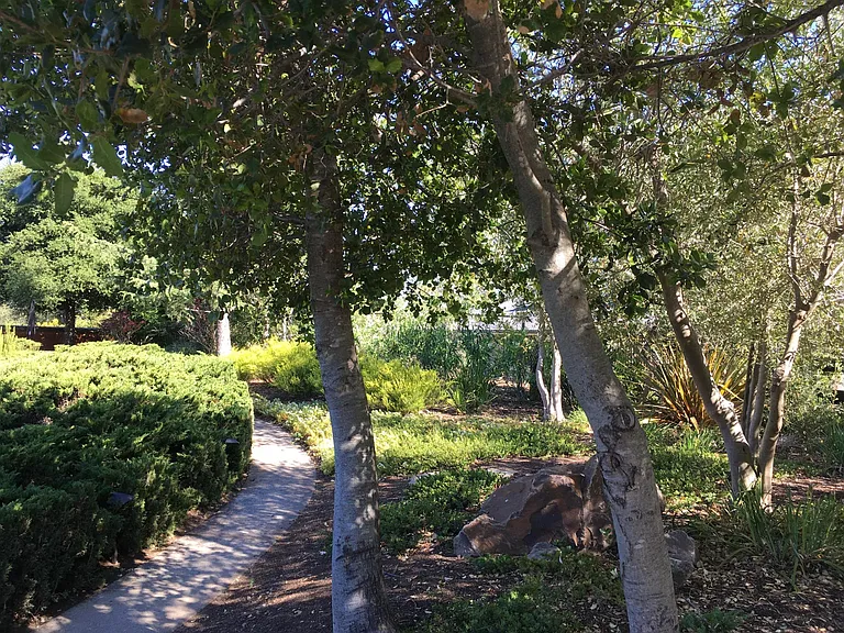 23570 Camino Hermoso Dr #B — Photo 28