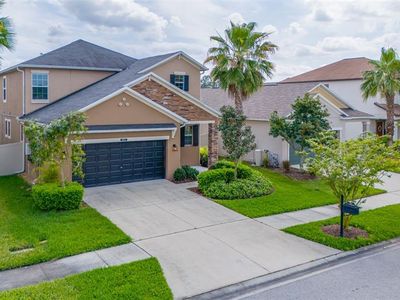 21037 Wistful Yearn Dr, Land O Lakes, FL, 34637
