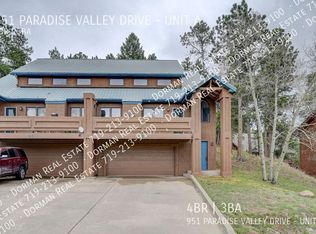 951 Paradise Valley Dr APT A, Woodland Park, CO 80863