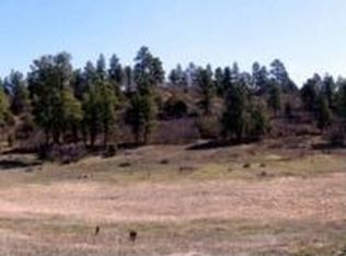 1728 Loma Linda Dr, Pagosa Springs, CO 81147
