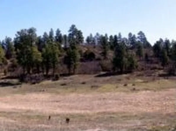 1728 Loma Linda Dr, Pagosa Springs, CO 81147