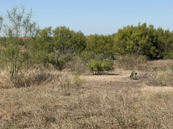 1446 County Road 332, Charlotte, TX 78011