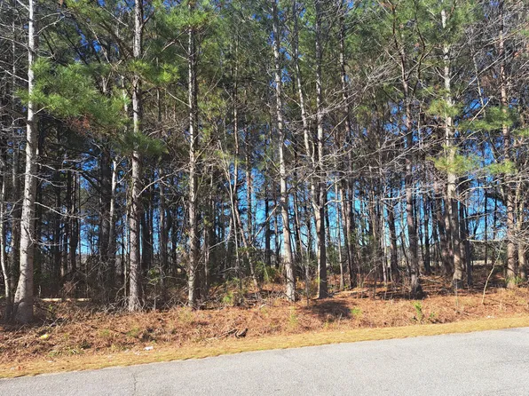 1 Antioch Rd, Santee, SC 29142
