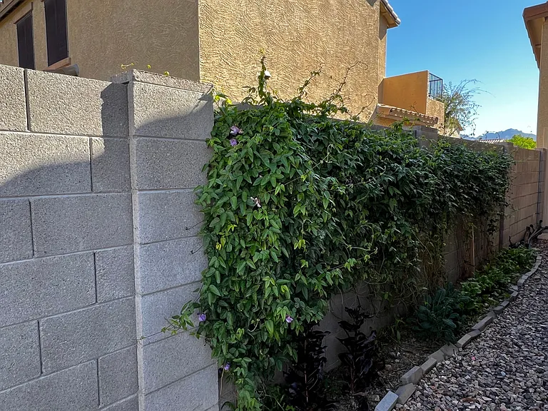 2724 S Chaparral Rd — Photo 25