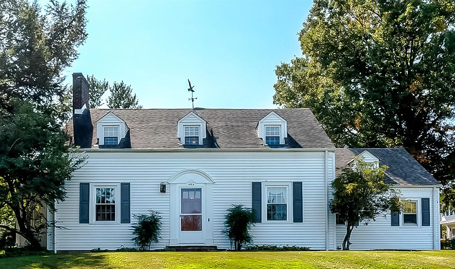 323 Peachbloom Hill Ln photo 1