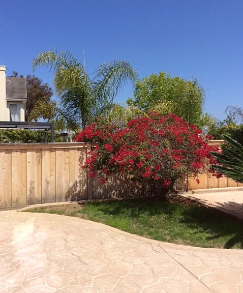 6243 Seacrest View Rd — Photo 54