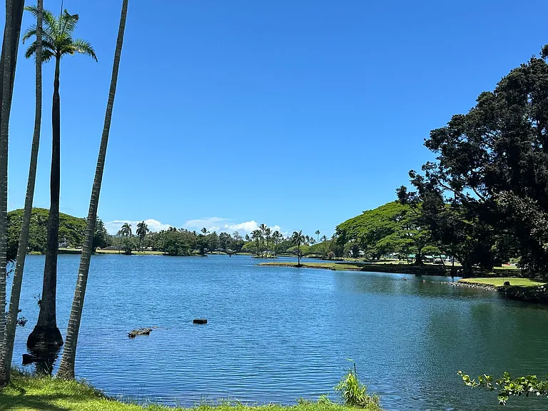 400 Hualani St — Photo 2