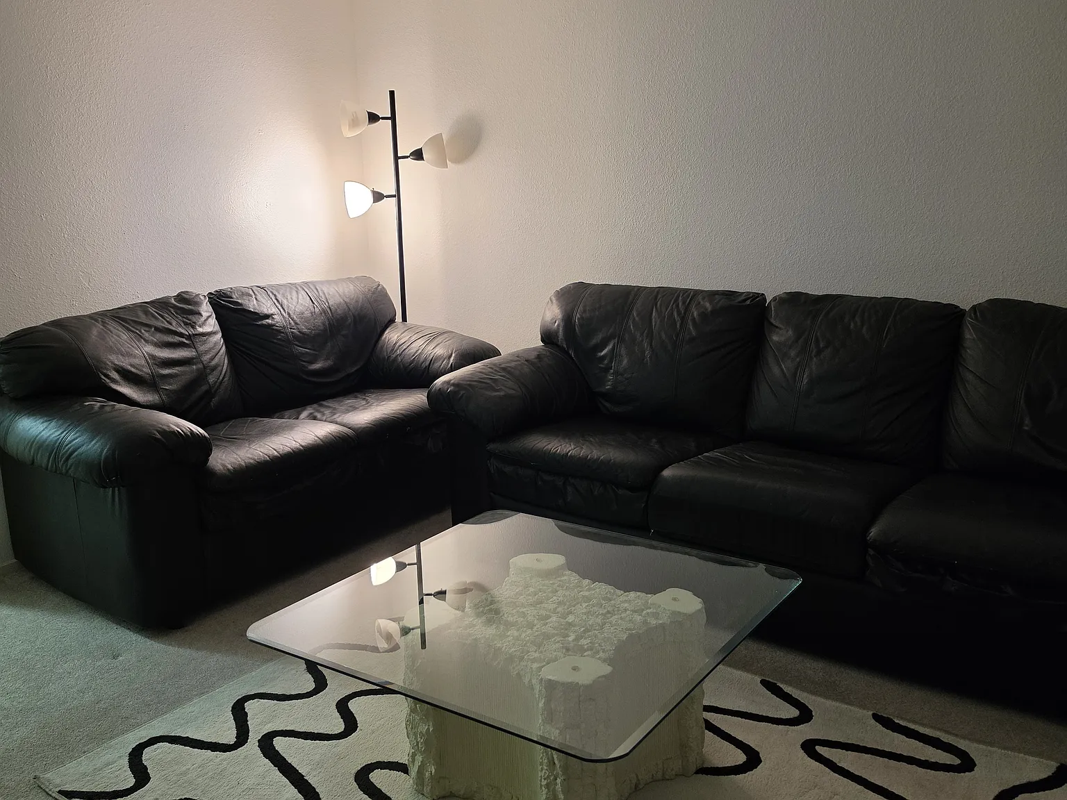 1 bed, 392 sqft, $950 — Photo 3