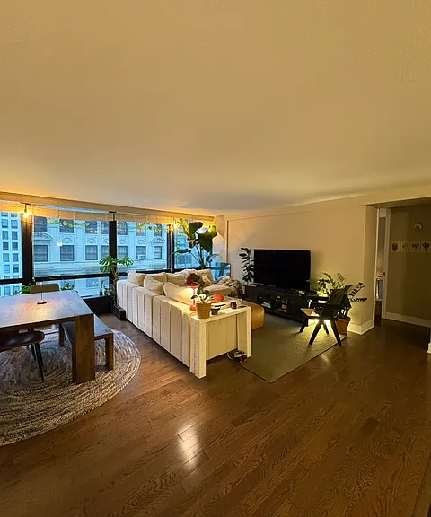 900 N Lake Shore Dr #1106 — Photo 9