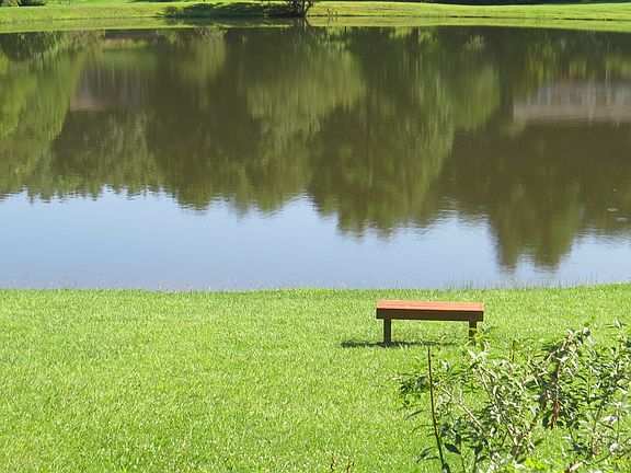 Neighborhood Lake
