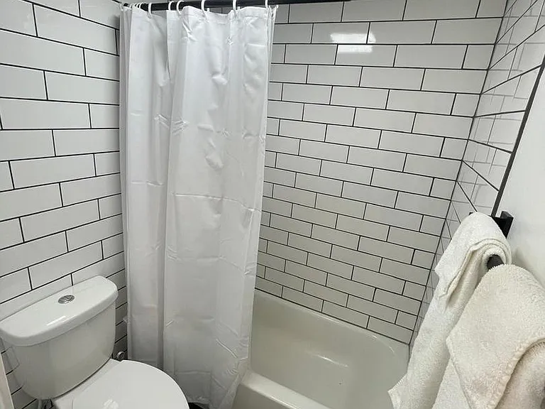 1221 N Dearborn St #1409N — Photo 23