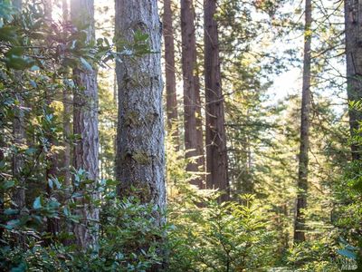 46990 Getchell Gulch Road, Gualala, CA, 95445