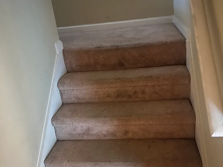 301 Vineyard Ridge Ln — Photo 9
