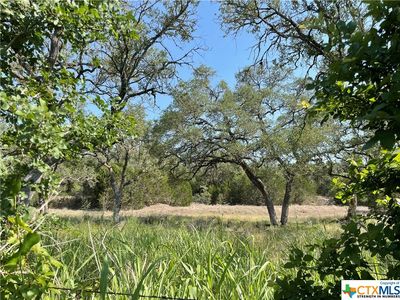 1732 Herbelin Rd, New Braunfels, TX, 78132