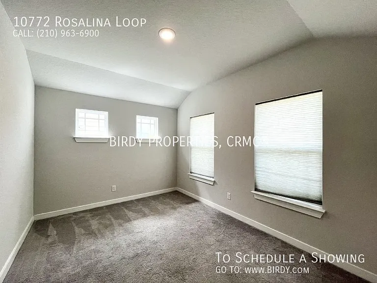 10772 Rosalina Loop — Photo 9
