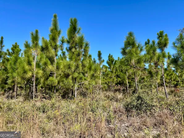 141 Acres Hwy #121, Reidsville, GA 30453