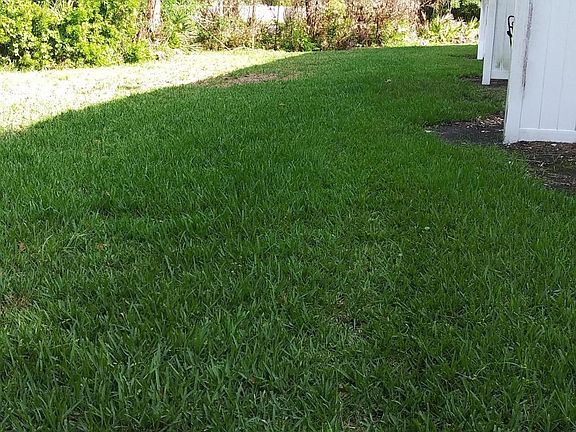 5th image of 12365 Mangrove Forest Ct