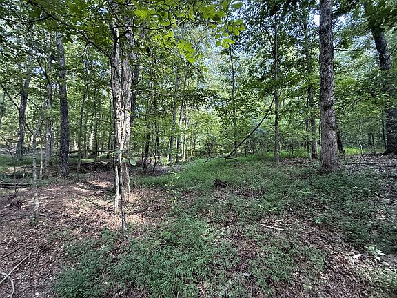 2nd image of 0 Webb Rd Lot 5