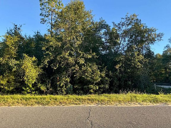 2nd image of LOT 4 Sw Cres #49