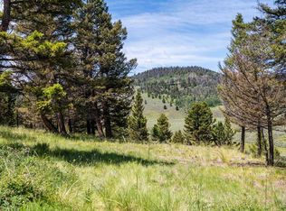 1021 Slumgullion Trl, Powderhorn, CO 81243