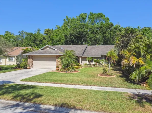 15014 Winterwind Dr, Tampa, FL 33624