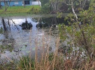 50 Ulysses Trl, Palm Coast, FL 32164