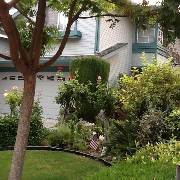 Beautiful landscaping!