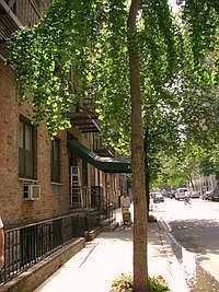 1st image of 433 W 24th St APT 4F