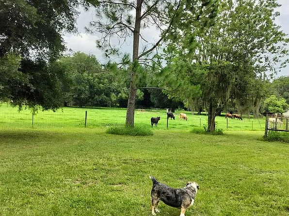 7589 County Road 763, Bushnell, FL 33513