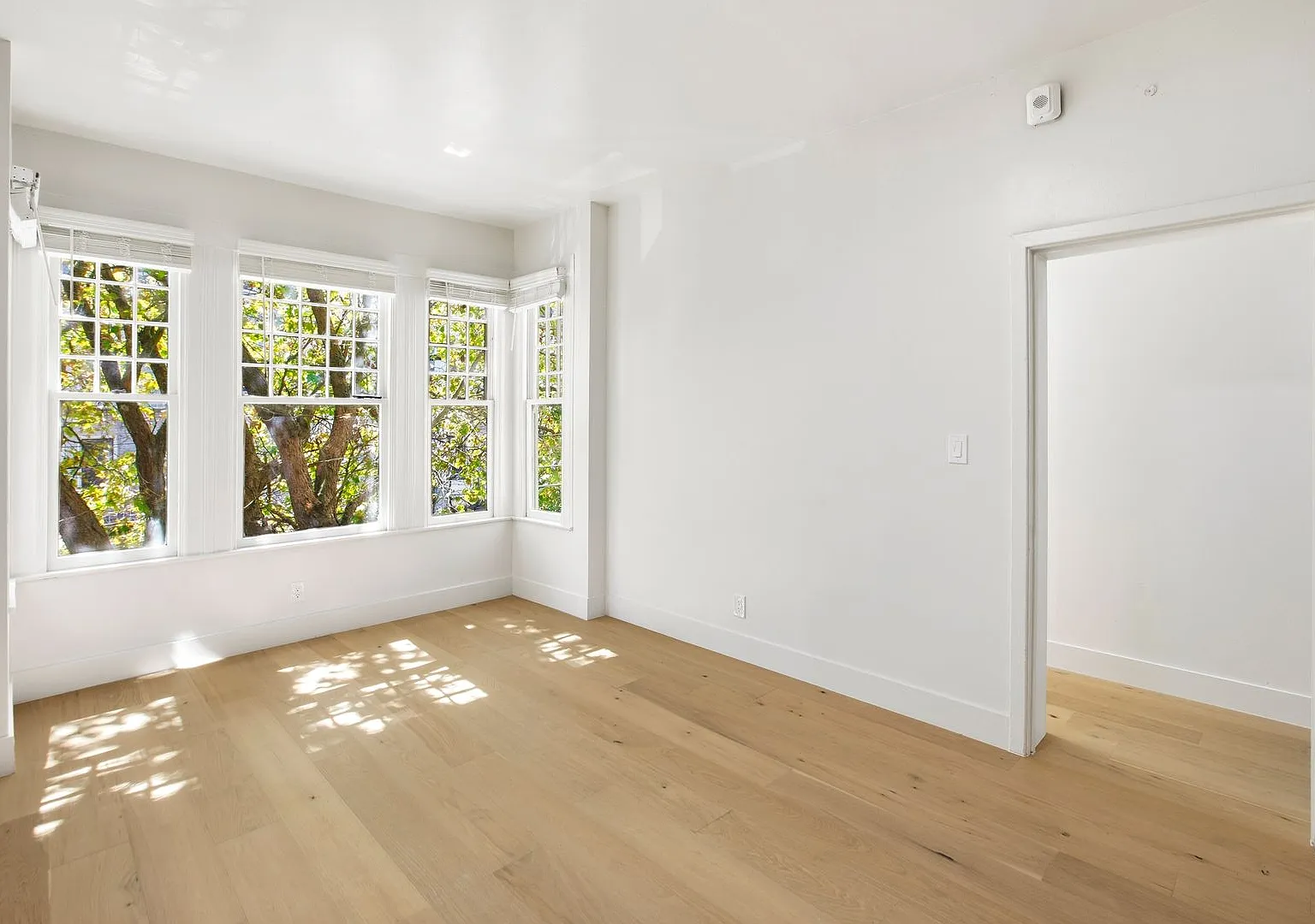 Newly Renovated Haight Ashbury One Bedroom! — Photo 3