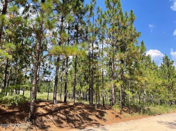 Lot 3 Meredith Lane, West End, NC 27376