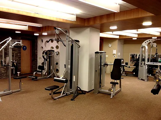 Rented by NY Living Solutions | media 71