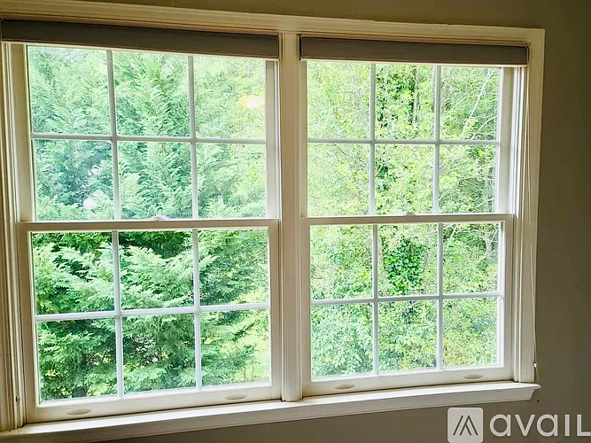 310 Mountain Alder Ln — Photo 38